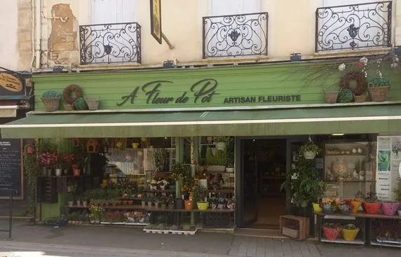 Devanture verte de la boutique et plantes en façade
