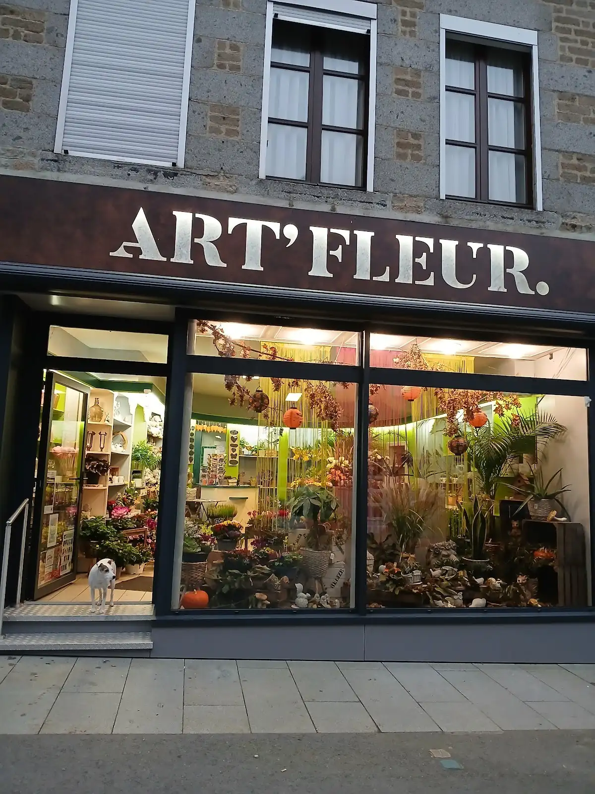 Façade de la boutique avec son enseigne et sa vitrine