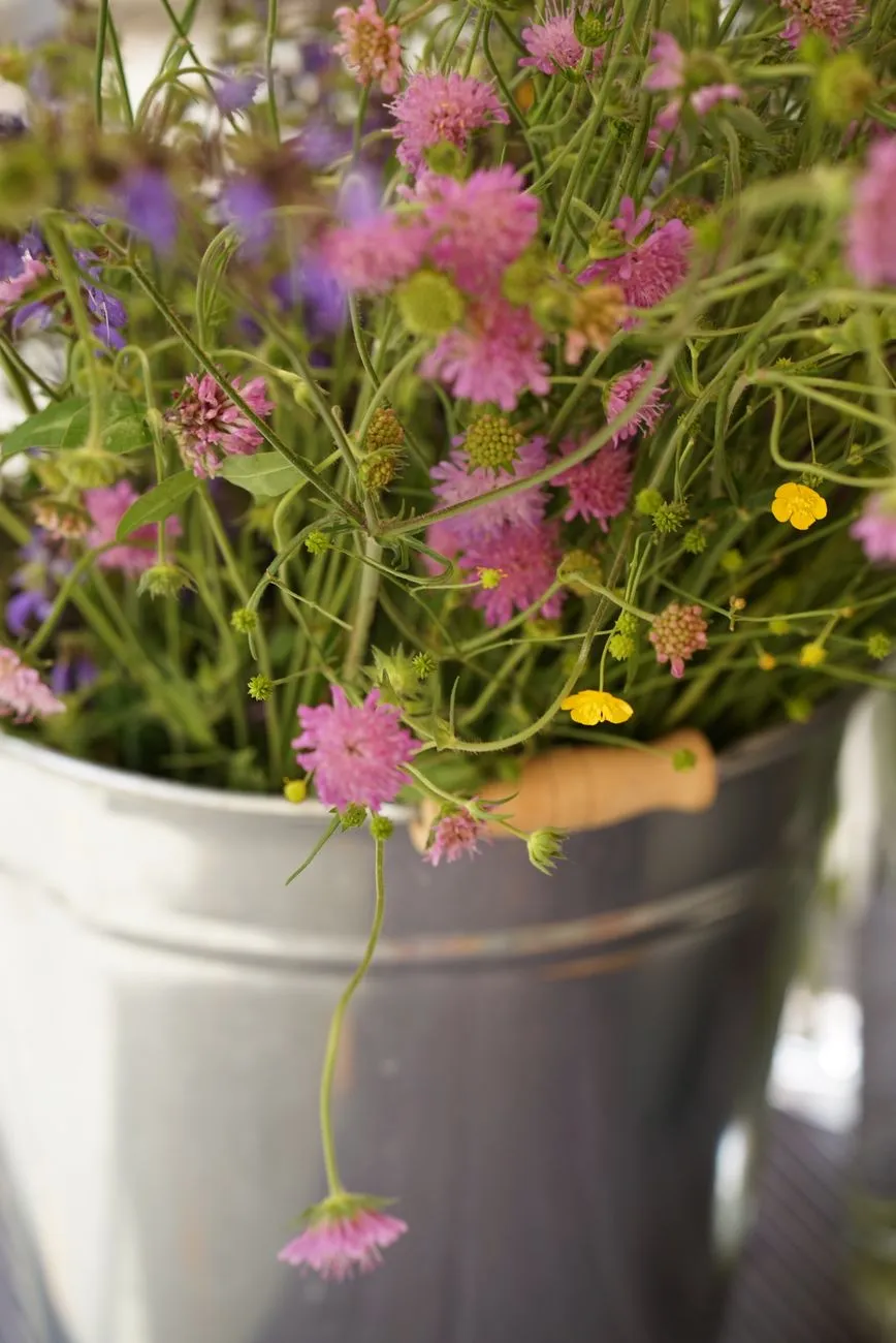 Assortiment de fleurs sauvages colorées dans un seau en métal, avec des tiges hautes et une ambiance estivale