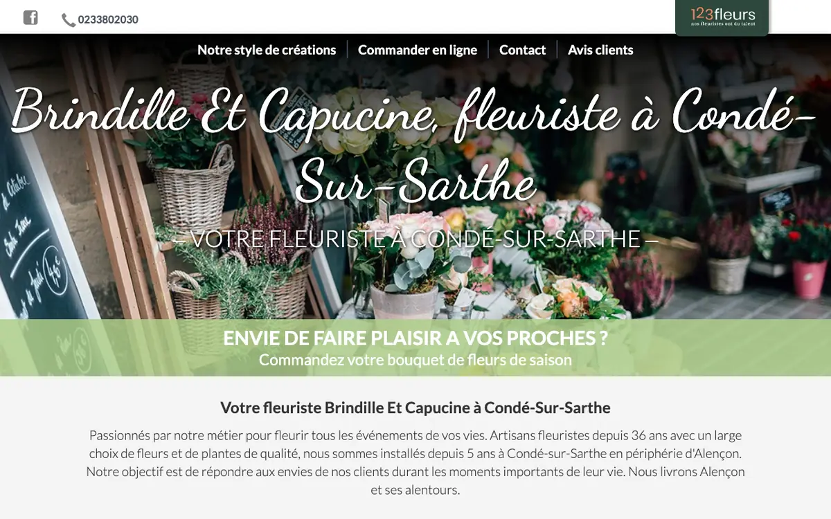 Page d’accueil du site de Brindille et Capucine, capture d’écran