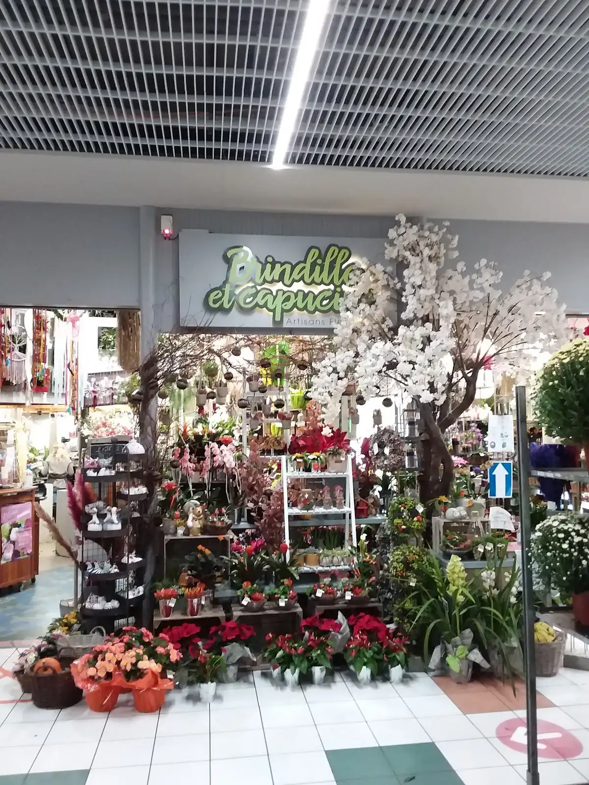 Boutique dans la galerie marchande, fleurs et plantes en façade