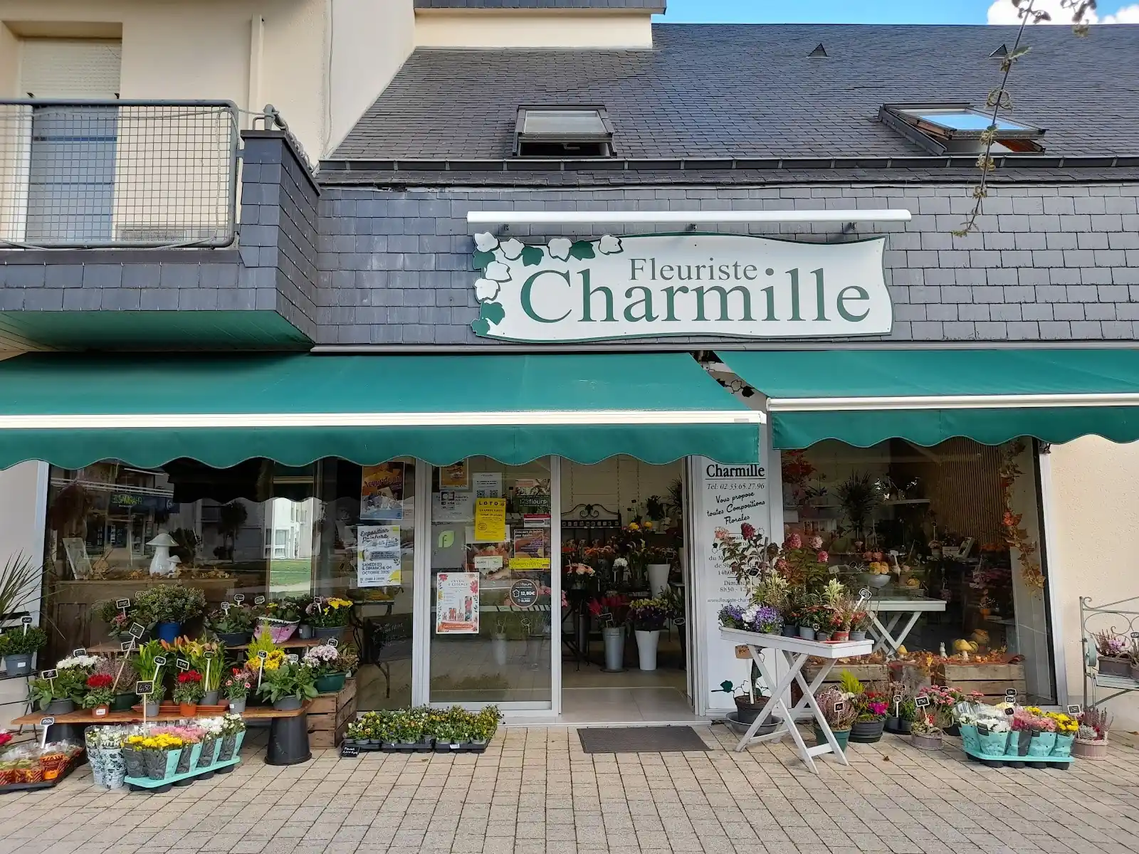 Devanture verte de la boutique et plantes exposées sur la place