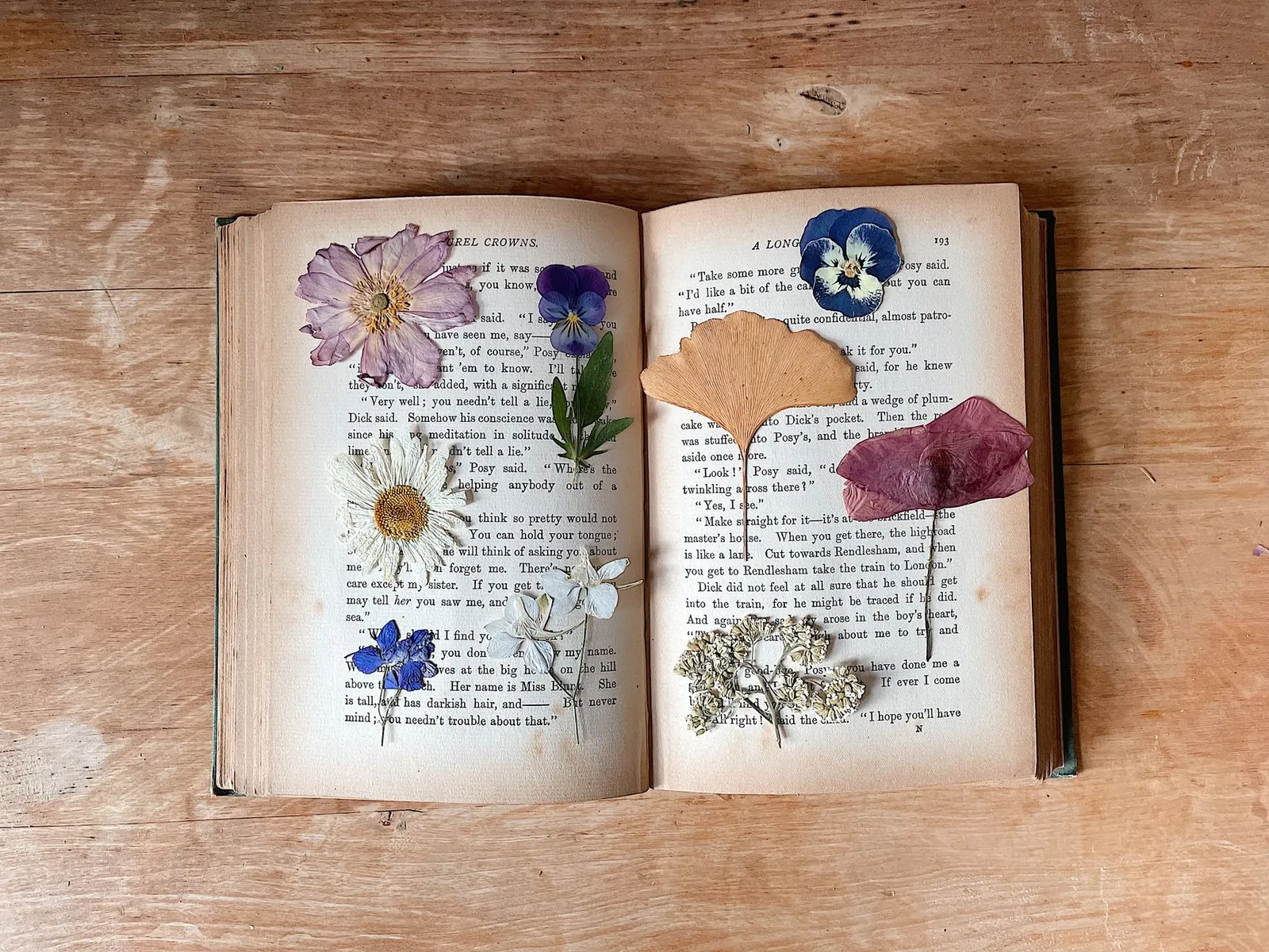 Livre ouvert avec des fleurs pressées posées entre ses pages sur une table en bois