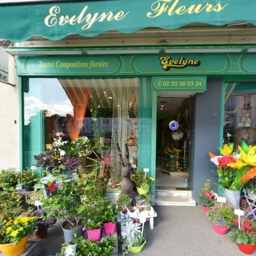 Devanture verte de la boutique et plantes exposées à l’entrée