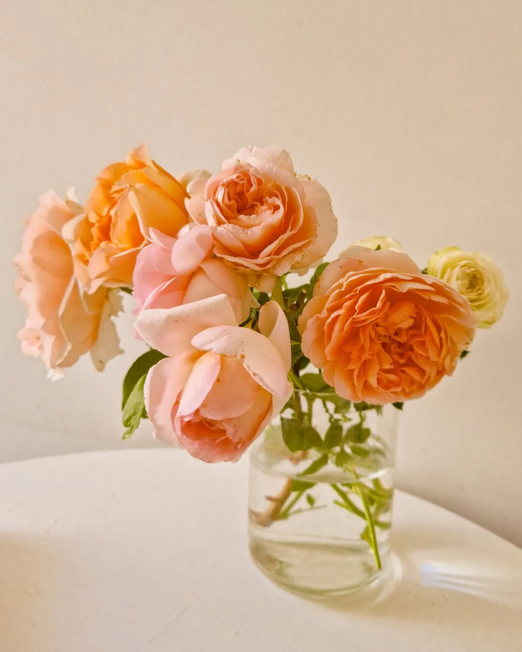 Bouquet de roses pêche dans un vase en verre transparent sur fond neutre