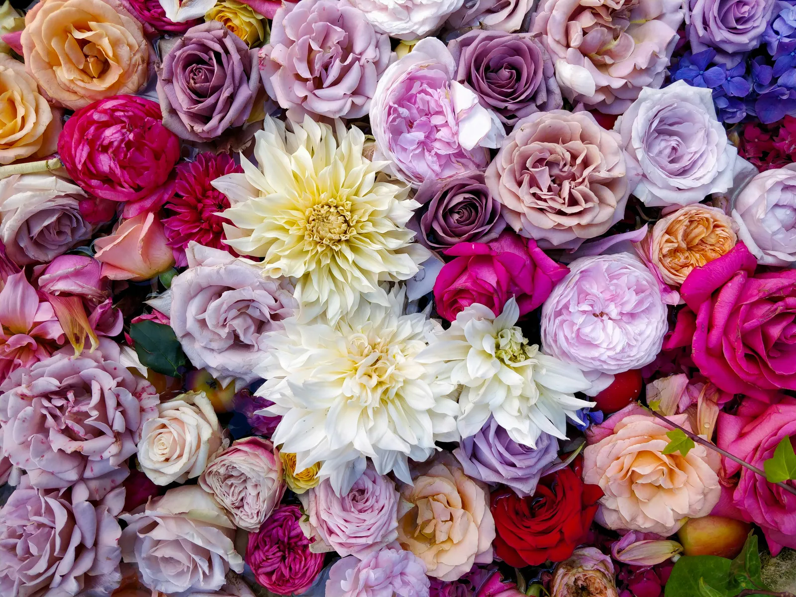 Bouquet varié de fleurs de saison avec tournesol, marguerites, roses et fleurs violettes sur fond de bois