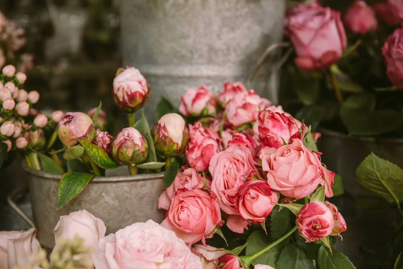 Seaux métalliques remplis de roses et de fleurs variées devant une vitrine de fleuriste