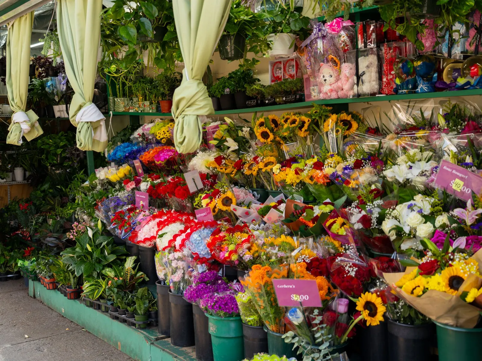 Vitrine de fleuriste lumineuse avec plusieurs bouquets colorés, dont des tournesols et des roses, présentés en façade