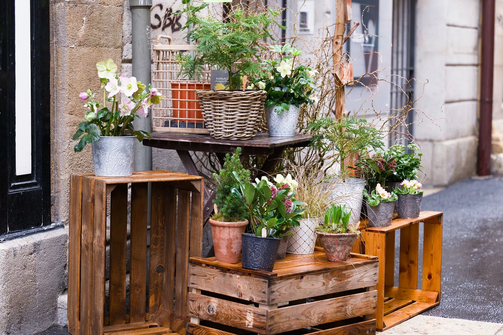 Vases et pots de fleurs de saison disposés dans des caisses en bois devant une boutique rustique