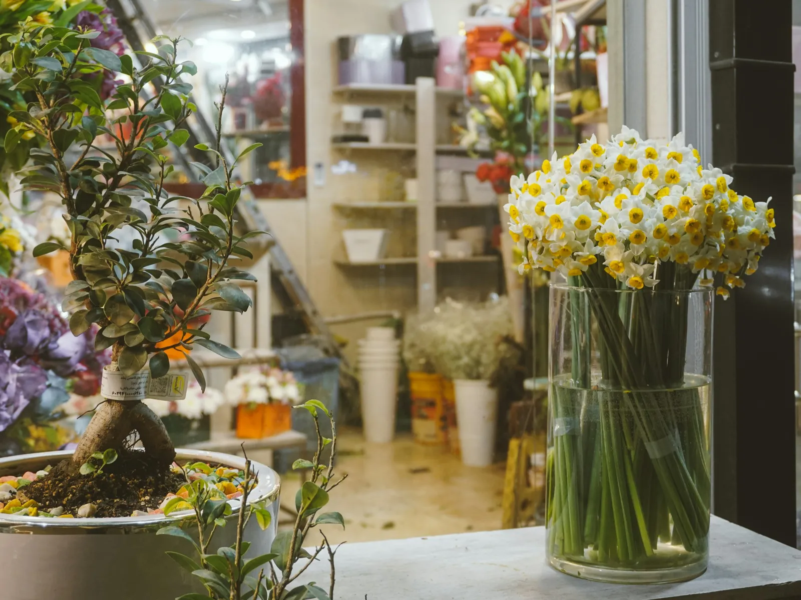 Vase de narcisses jaunes et blancs sur le comptoir d'une boutique de fleurs, plantes en pot à l'arrière-plan