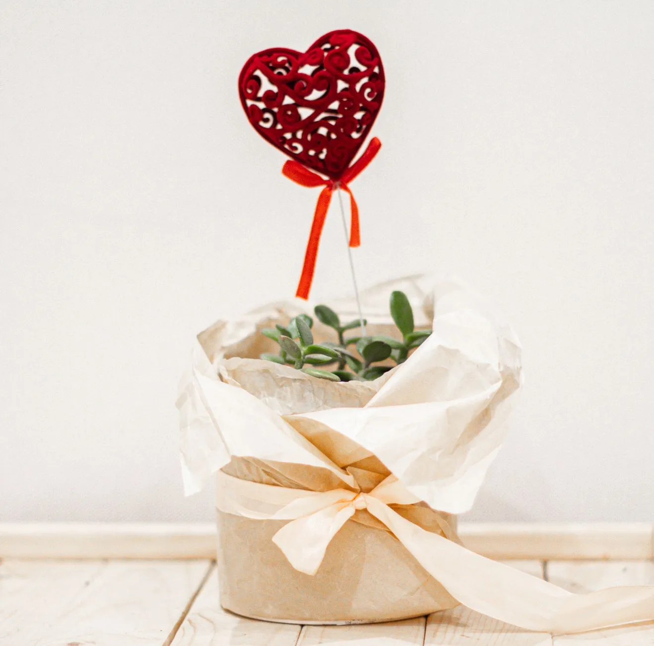 Petite succulente en pot, enveloppée de papier kraft et décorée d’un cœur rouge