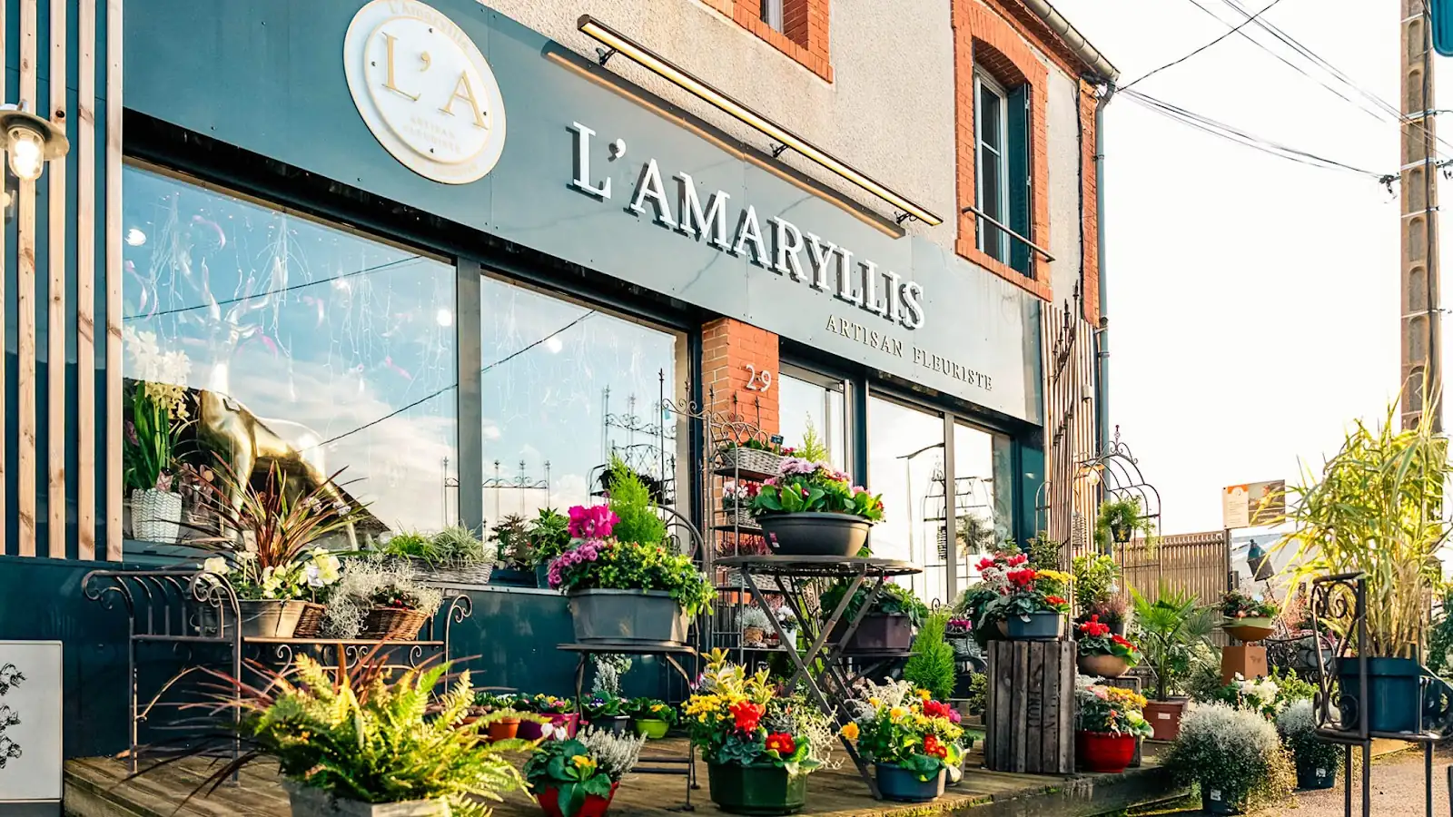 Vitrine de la boutique et plantes exposées devant l’entrée