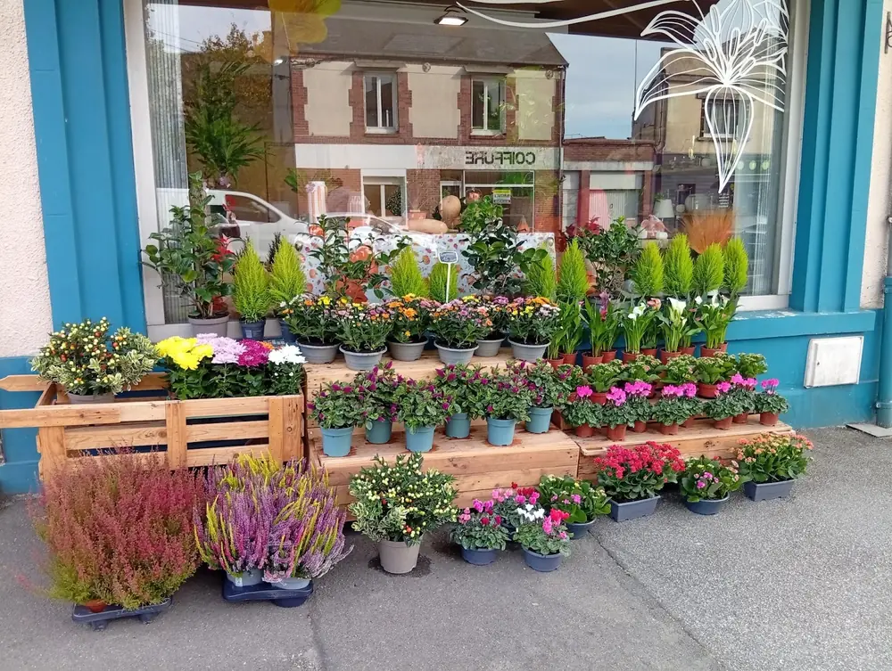 Façade de la boutique et plantes exposées sur le trottoir