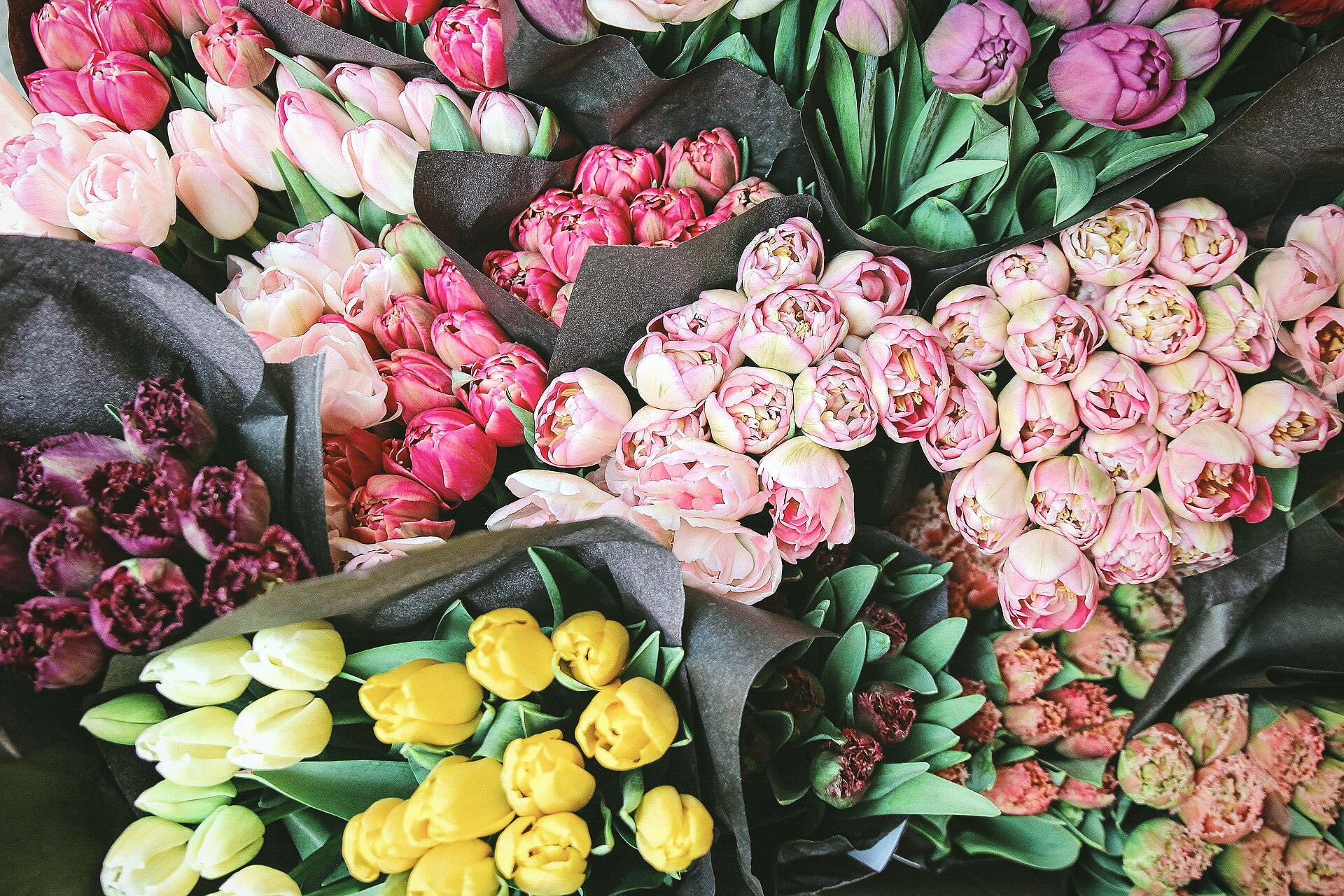 Des bottes de tulipes roses, pourpres, jaunes et blanches emballées dans du papier gris sur un étal