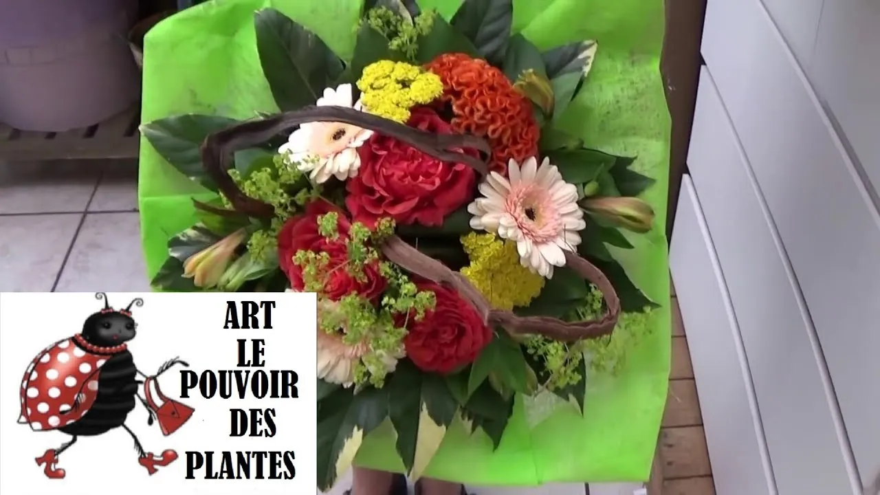 Image de la vidéo « chaine de Jardinage: Art floral et Compositions florales: Comment faire un bouquet floral » de art le pouvoir des plantes