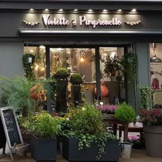 Devanture de la boutique, plantes en bacs devant la vitrine