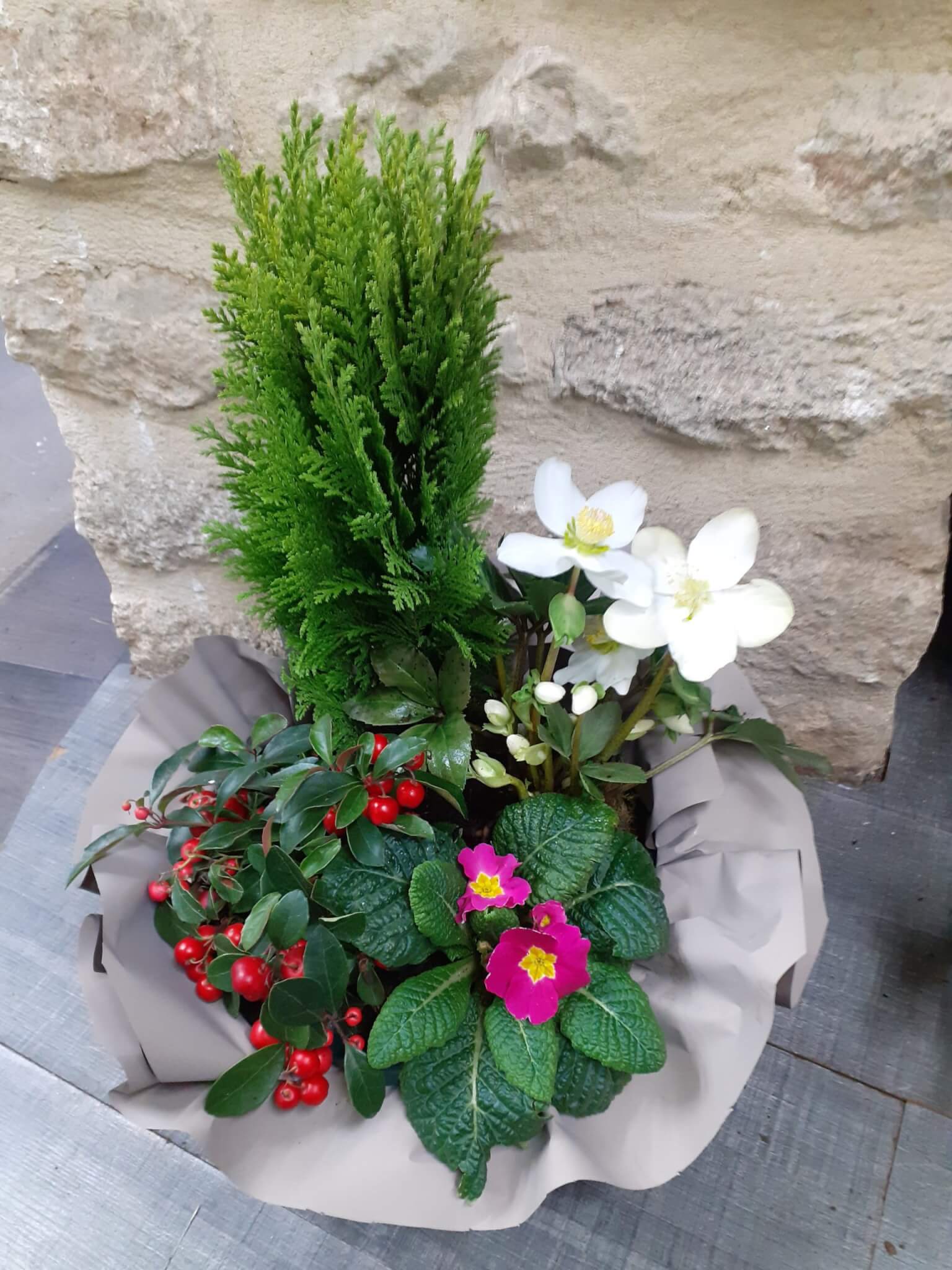 Des Fleurs Pour La Tombe D Ysengrin